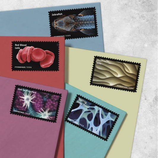 Life Magnified Forever Stamps
