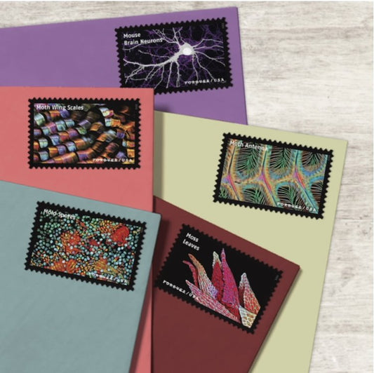 Life Magnified Forever Stamps